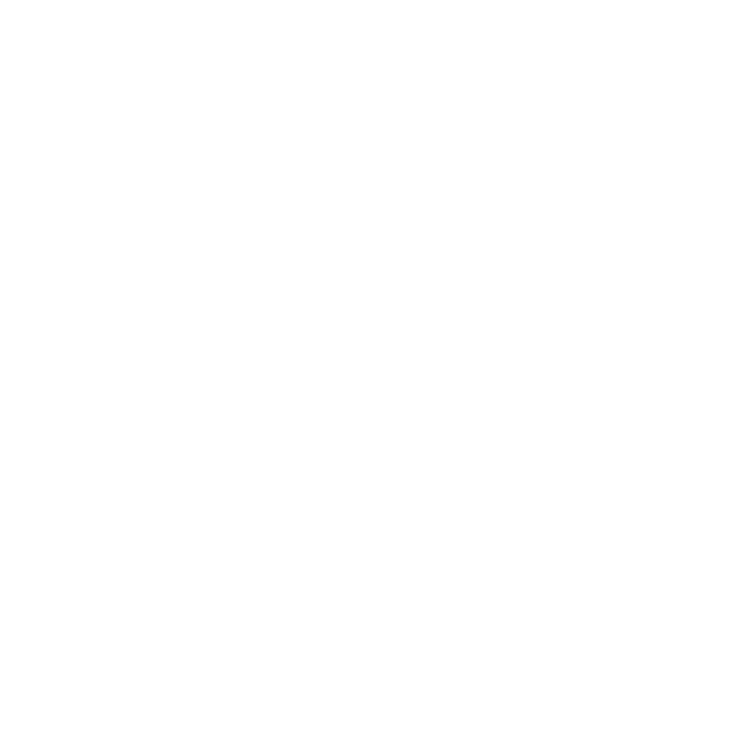 logo agrandado